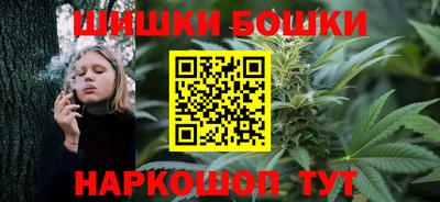 тгк Новодвинск