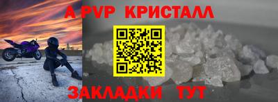 СК Будённовск