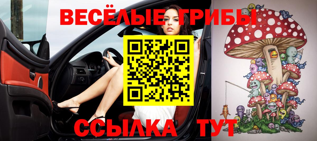 Псилоцибиновые грибы GOLDEN TEACHER Казань